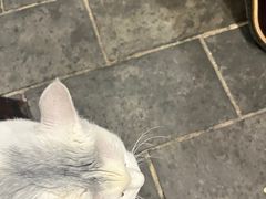 -张记牛肉面馆(天津路店)