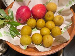-季季山·云南野生菌火锅(上海首店)