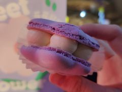 半熟花花马卡龙柚子樱花味-好利来(桂林路店)