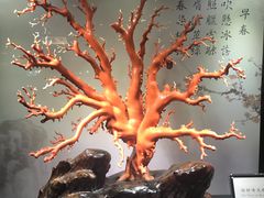 -绮丽珊瑚(台北101旗舰门市店)