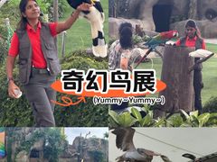 -新加坡飞禽公园