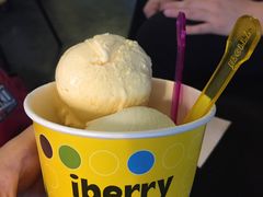-莓园冰淇淋店