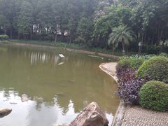 -黄埔荔枝公园