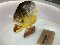 -陕西自然博物馆