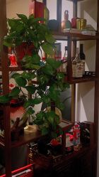 -新龙门刺青·纹身