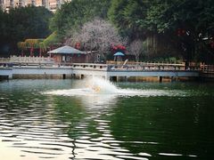-光明港公园