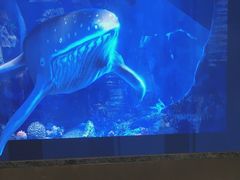 -鑫复盛皇嘉海鲜酒店