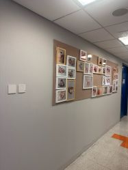 -杭州贝瑞斯美华妇儿医院·早孕·产检·儿科