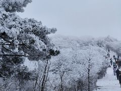-安吉龙王山风景区