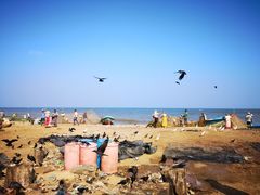 -尼甘布海鲜市场