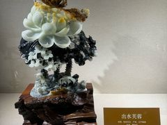 -大连自然博物馆