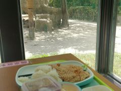 -上海野生动物园老虎餐厅