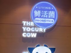 -一只酸奶牛(双流万达广场店)