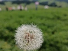 -新疆那拉提国家旅游度假区