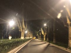 -灵谷景区