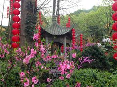 法喜寺-杭州上天竺法喜讲寺
