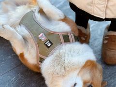 -陶野咖啡·面包披萨