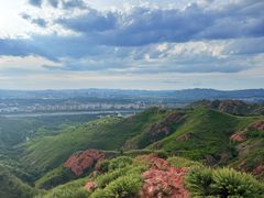 -红山国家森林公园