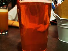 -Boxing Cat Brewery拳击猫精酿啤酒馆(永福店)