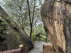 -铁山坪森林公园