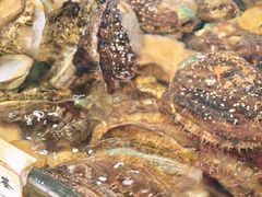 -小铜锣湾海鲜家常菜馆(河西店)