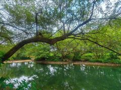 -婺源月亮湾