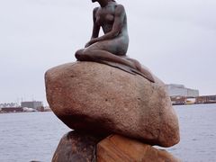 -美人鱼
