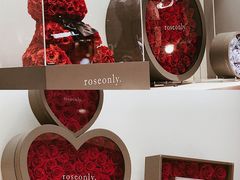 -ROSEONLY诺誓(广州K11店)