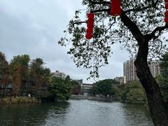 -荔湾湖公园