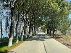 -苏州太湖国家湿地公园