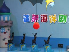 -蓬莱欧乐堡海洋极地世界