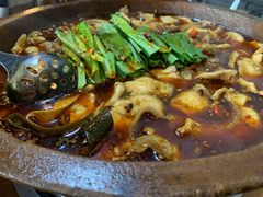 黑鱼-都江堰石锅鱼