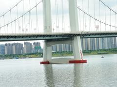 -九龙湖公园