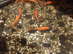 -邈墨茶馆(凤起路店)