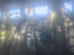 -腾冲洞山温泉村