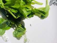 -土风豆米火锅(鸿通城店)