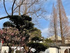 -上海醉白池公园