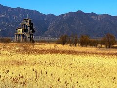 -野鸭湖国家湿地公园