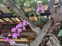 -厦门日月谷温泉渡假村