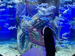 -波塞冬旅游度假区