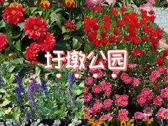 -圩墩遗址公园