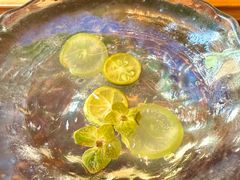 -叶叶菩提·晋福宫