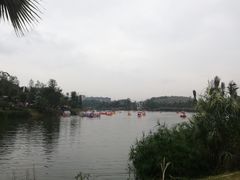 -枫香湖儿童公园