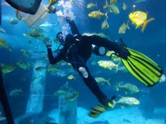 -太平洋海底世界