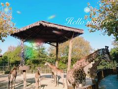 -上海野生动物园