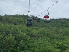 -富斯特索道