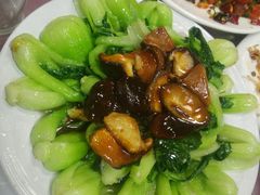 香菇菜心-色兰伊品轩食府