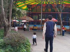 -晓港公园