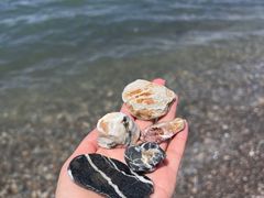 -赛里木湖风景名胜区