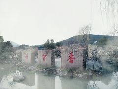 -香雪海